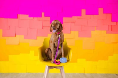 Pink Papyrus 迷你隨身包(加贈史努比便便袋2捲、迷你濕巾1包、15ml酒精噴霧1瓶)12