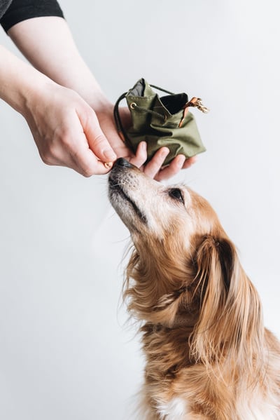 Band & Roll York 抽繩零食袋（德國製）7