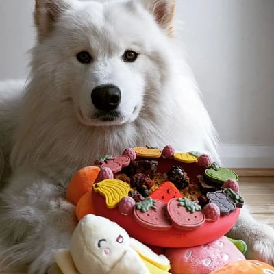 LickiMat UFO 飛碟舔食碗/慢食碗9