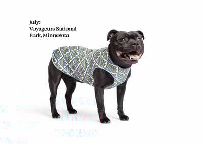 Gold Paw Sun Shield 防曬降溫彈性背心4