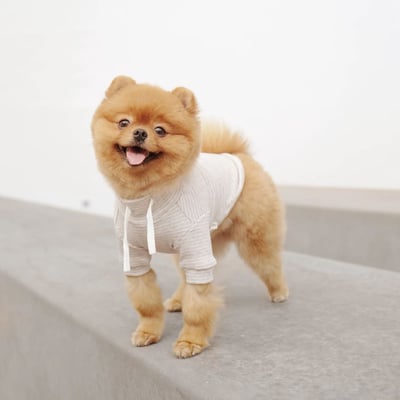 Lambwolf Breton Comfort Fit 抽繩條紋踢6