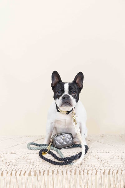 Pink Papyrus 迷你隨身包(加贈史努比便便袋2捲、迷你濕巾1包、15ml酒精噴霧1瓶)21