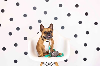 Pink Papyrus 迷你隨身包(加贈史努比便便袋2捲、迷你濕巾1包、15ml酒精噴霧1瓶)22