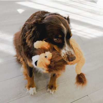 KONG Scampers 擬真野生動物玩具7