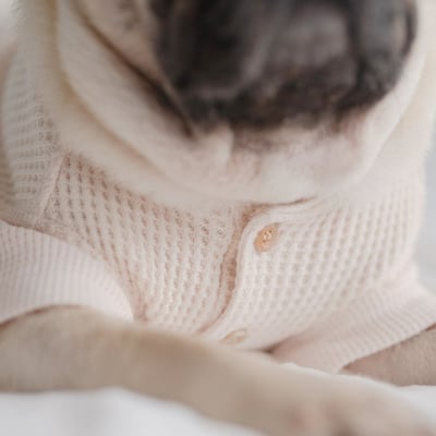 Lambwolf Waffle Ultra Soft 華夫格亨利踢5