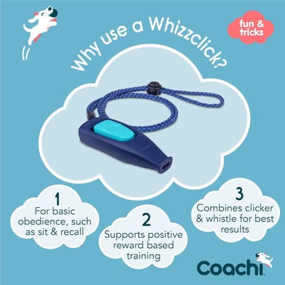 Coachi Whizzclick 口哨響片（二合一訓練工具）6