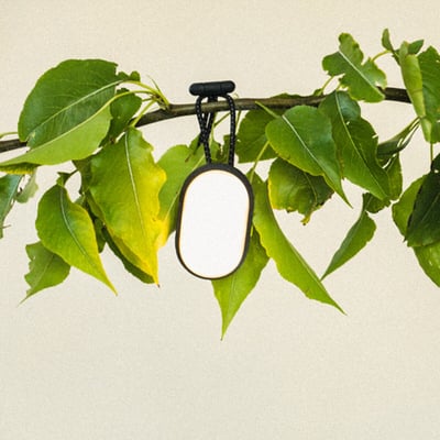 Lander Cairn Mini Lantern 超亮LED迷你照明燈（露營燈、夜行燈、寵物安全燈）10