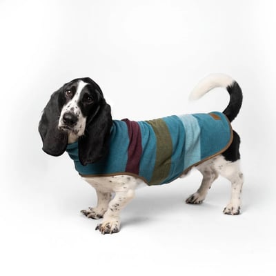 PENDLETON Cabin Stripe Pet Vest 山林小屋條紋刷毛背心17