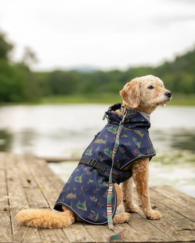 PENDLETON Pet Adventure Rain Coat 冬季探險風雨衣（獨木舟俱樂部）7