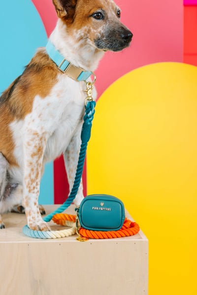 Pink Papyrus 迷你隨身包(加贈史努比便便袋2捲、迷你濕巾1包、15ml酒精噴霧1瓶)15