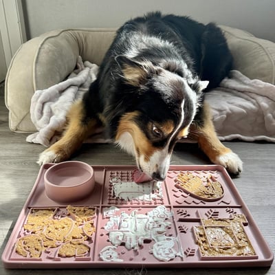 Tails & Tales Licking Mat 加大版六宮格舔食墊17