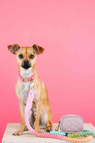 Pink Papyrus 迷你隨身包(加贈史努比便便袋2捲、迷你濕巾1包、15ml酒精噴霧1瓶)25