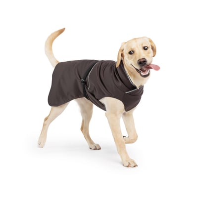 Gold Paw Rain Paw II 二代雨衣4