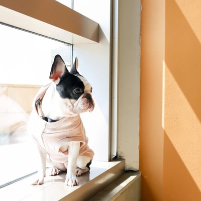 Lambwolf Robin Baby Knit 寶寶級連帽踢13