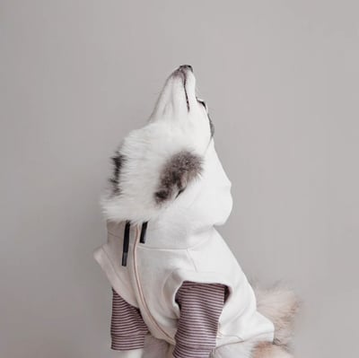 Lambwolf Robin Baby Knit 寶寶級連帽踢4