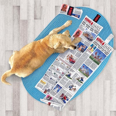 KONG Daily Newspaper 狗語日報玩具10