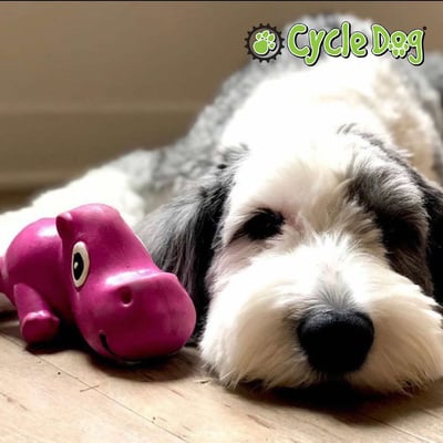 Cycle Dog Ecolast Rubber Toy 多元互動河馬玩具（藏食、啾啾、浮水、Ecolast環保材質）15