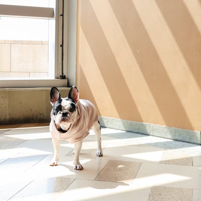 Lambwolf Robin Baby Knit 寶寶級連帽踢17