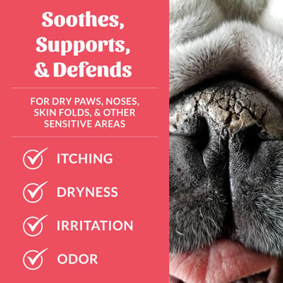 Skout's Honor Prebiotic Pet Balm 益生元修護霜（腳掌、鼻子、手肘、皺摺）4