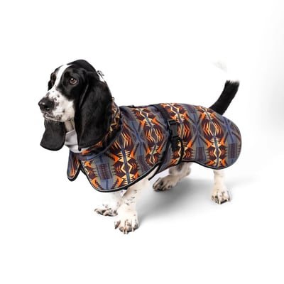 PENDLETON Pet Adventure Rain Coat 冬季探險風雨衣（心靈能量之湖）9