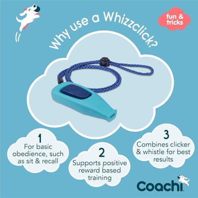 Coachi Whizzclick 口哨響片（二合一訓練工具）3