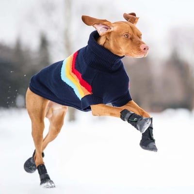 GF Pet Elasto-Fit Dog Boots 冬季長靴（雨靴、雪靴）（彈性環抱設計）5