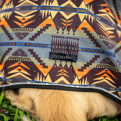 PENDLETON Pet Adventure Rain Coat 冬季探險風雨衣（心靈能量之湖）7