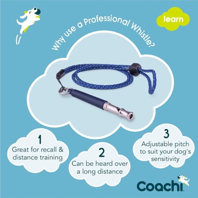 Coachi Professional Whistle 專業訓練口哨（遠距訓練、敏捷訓練）2