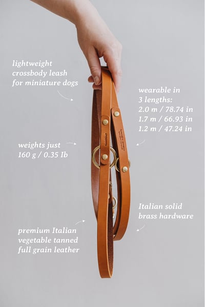 Band & Roll Lasso Air 多功能真皮牽繩（義大利牛皮、德國製）5