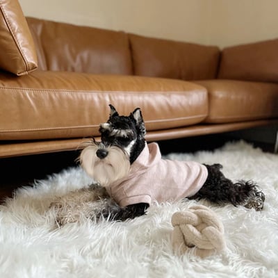 Lambwolf Robin Baby Knit 寶寶級連帽踢12