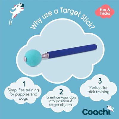 Coachi Target Stick 標的棒（才藝、敏捷、特定動作）2