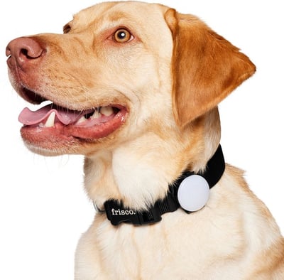 Frisco Nighttime Safety LED Light 夜間LED安全燈（六色合一、USB充電）1