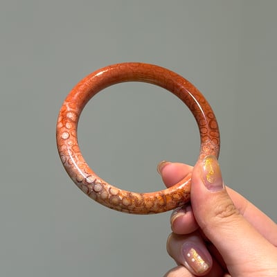 珊瑚玉圓條581