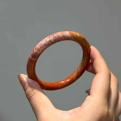 珊瑚玉圓條596