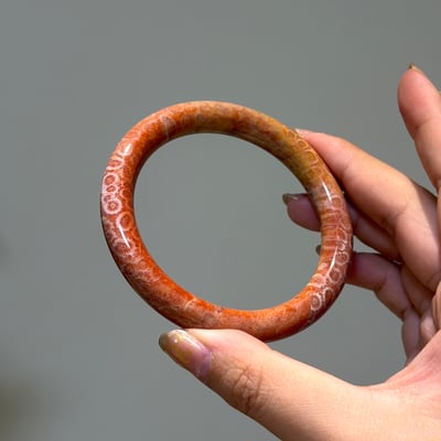 珊瑚玉圓條595