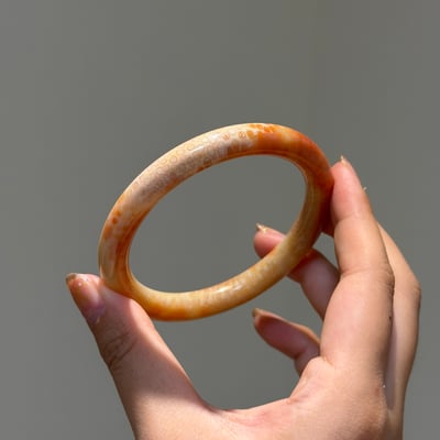 珊瑚玉圓條612