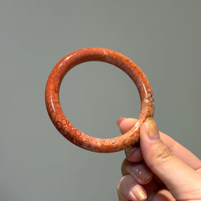 珊瑚玉圓條584