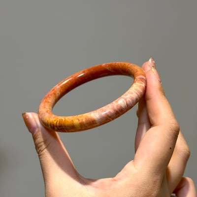 珊瑚玉圓條597