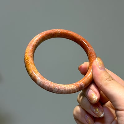 珊瑚玉圓條593