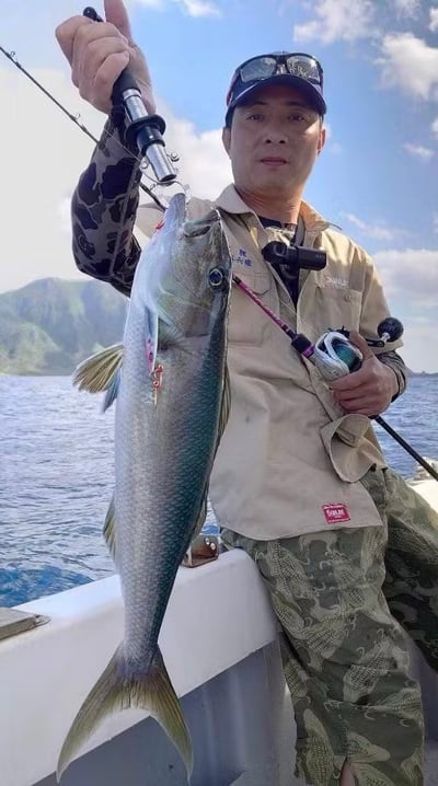 美國BogaGrip秤重魚夾 15lb/30lb/30LB SP 路亞人必備6