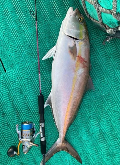 HooFishing 鐵板竿 紫竿light jigging MAX200g5