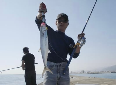 美國BogaGrip秤重魚夾 15lb/30lb/30LB SP 路亞人必備10