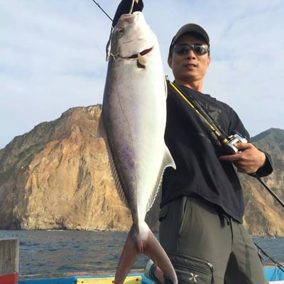 HooFishing 鐵板竿 紫竿light jigging MAX200g20