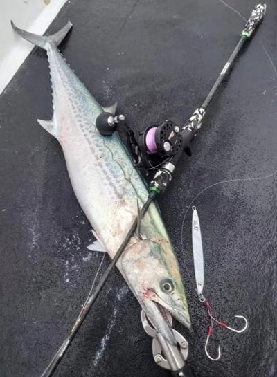 PRO HUNTER 迷彩超強腰身實心鐵板竿5