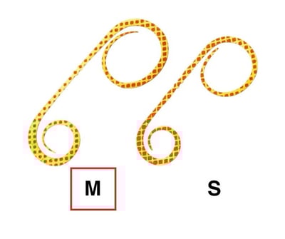 SHIMANO 炎月游動丸飄帶 ED-R06W 厚片/3入裝8