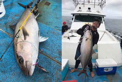 HooFishing 鐵板竿 紫竿light jigging MAX200g21