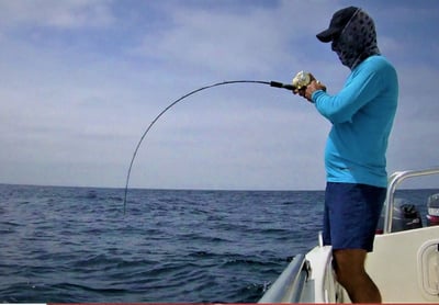 日本 ZENAQ 最新 實心竿  IKARI /鼓式竿/紡車竿13