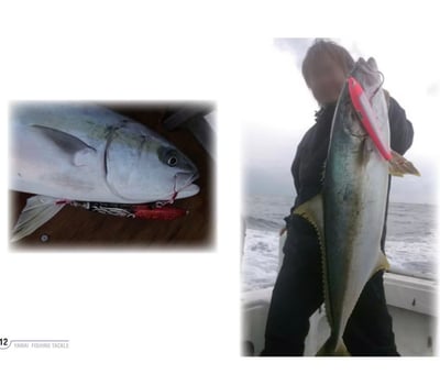 日本 yamai-suteki 水表餌專用鉤雙單鉤7