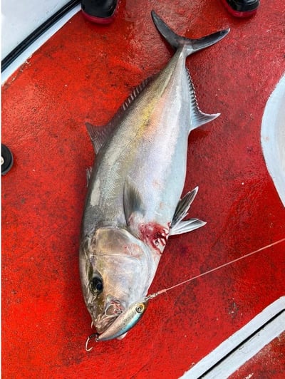 SHIMANO 新款大型青物鉛筆 XL-T18T 185mm/95g7