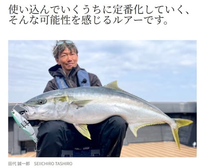 SHIMANO 大型水表餌XV-B22Y/XV-C22Y12